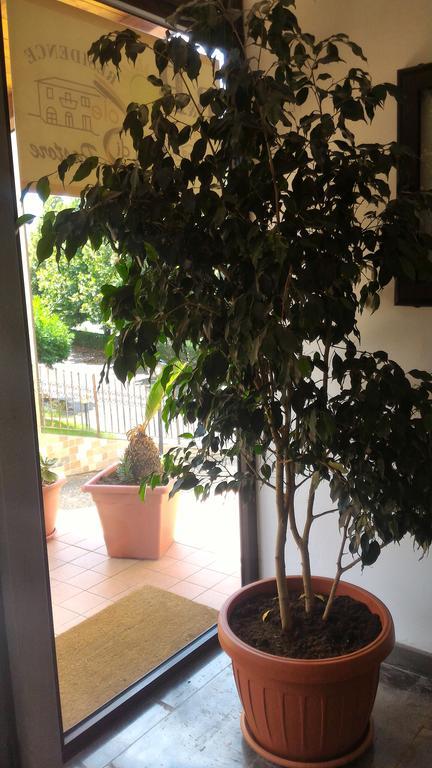 Raggio Di Sole Bed & Breakfast Rende Exterior photo